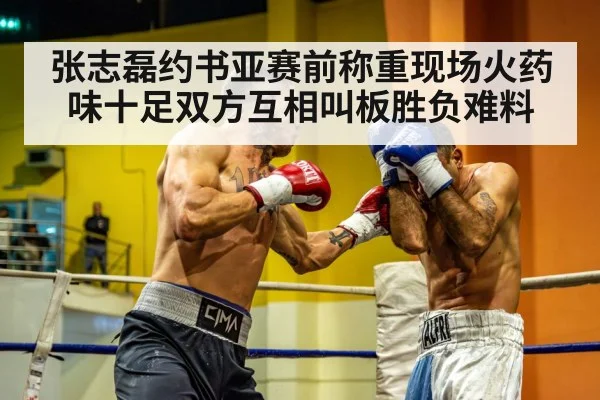 heavyweight boxers staring