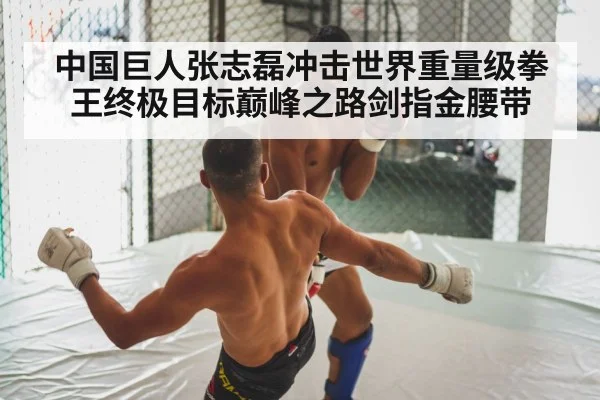 boxing fight